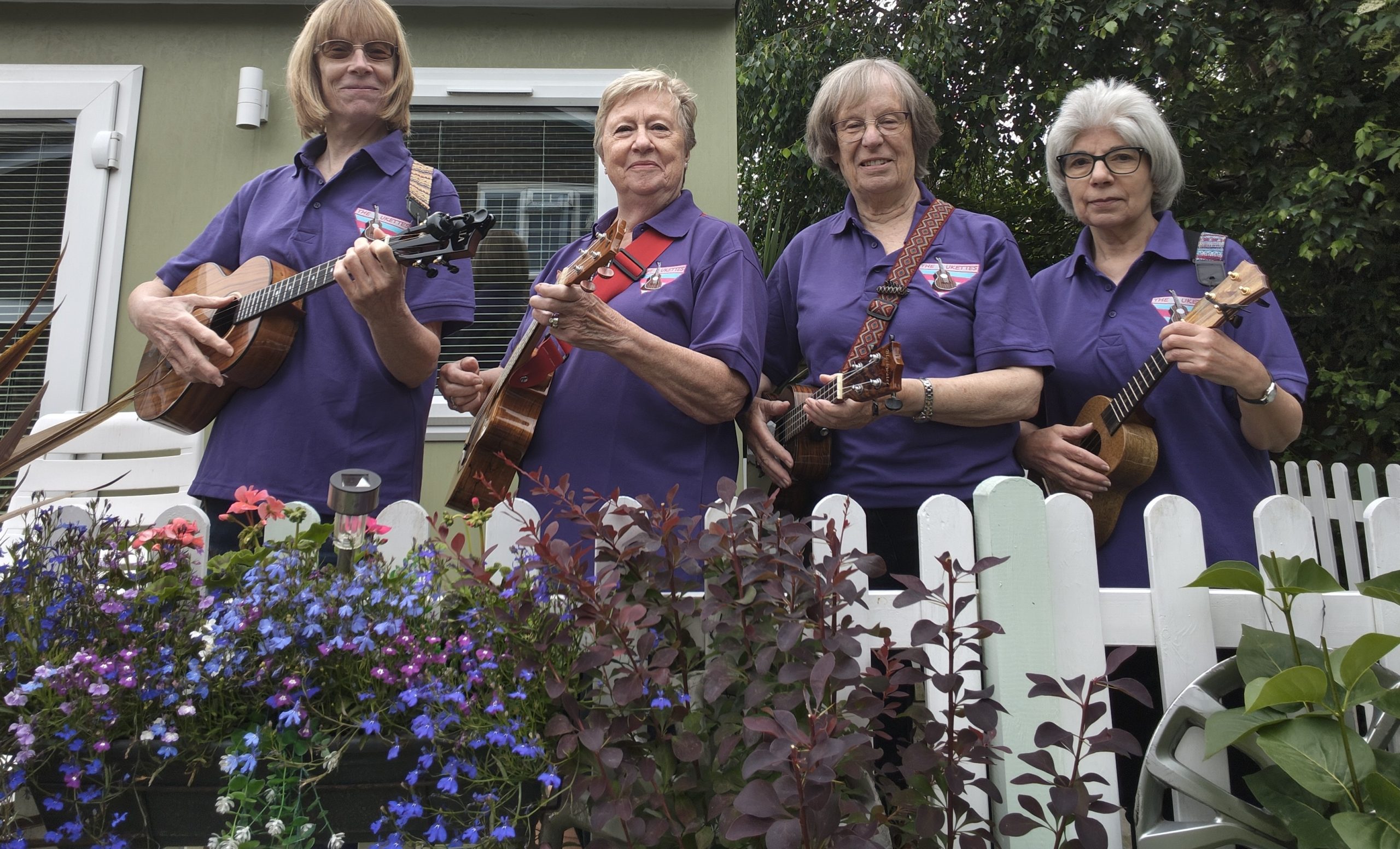the ukettes